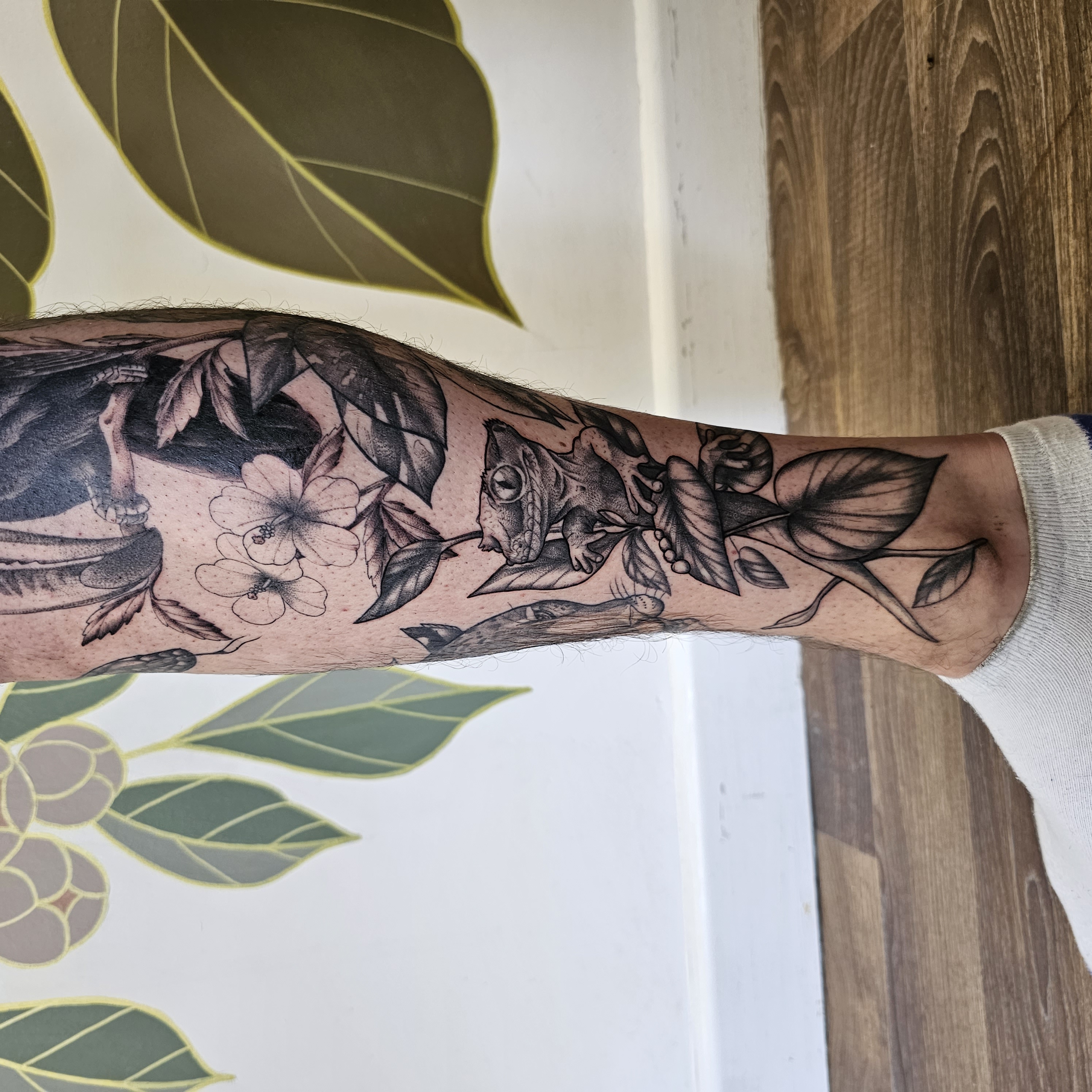 Blackbird Tattoo Studio Blackbird Tattoo Studio